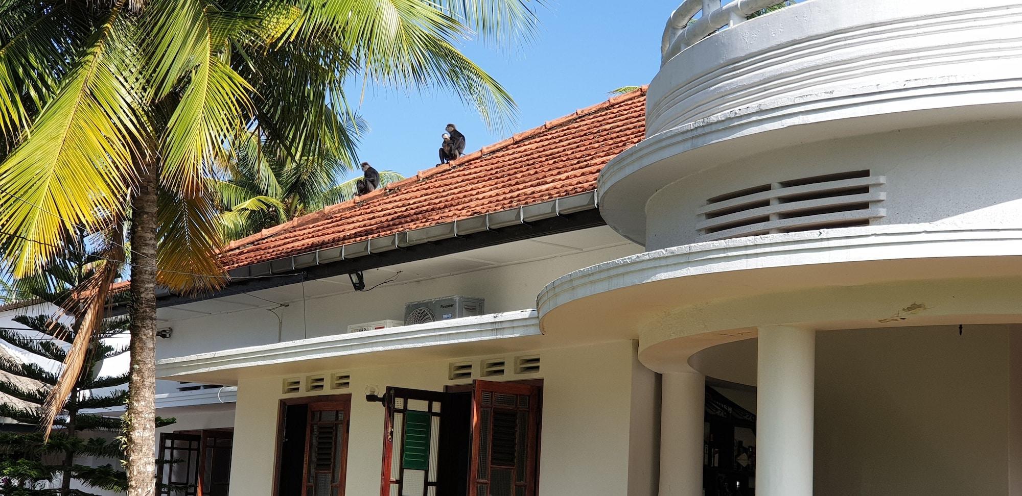 Vista Exterior Ahangama Eco Villa