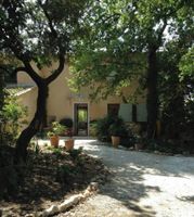 Alquiler Vacacional - CHARMING HOUSE UNDER THE TREES IN A VERY LARGE GARDEN