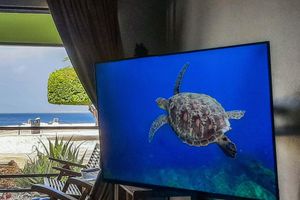 Alquiler Vacacional - Updated/Beachfront/180 Sunset View/Dock/Dive Shop/Pool/Restaurants