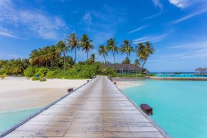 Alojamiento - Machchafushi Island Resort & Spa Maldives, The Centara Collection