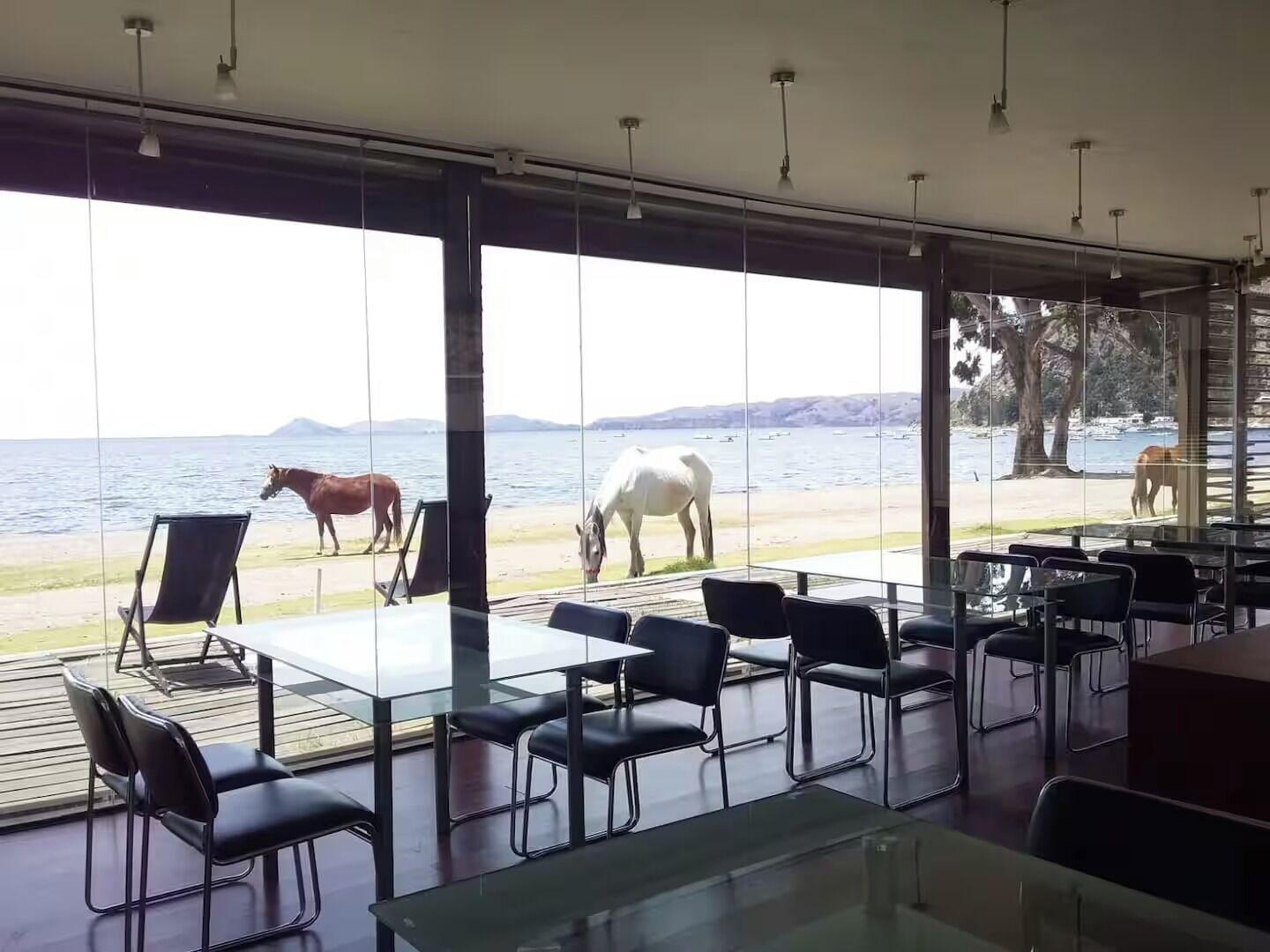 Vista Lobby Onkel Inn Torres Copacabana