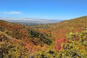 Alquiler Vacacional - Huge Fenced Yard w/Firepit Near Ski Resorts & Airport! Private Yoga Suite!