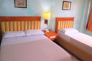 Alojamiento - Nature's Pensionne House