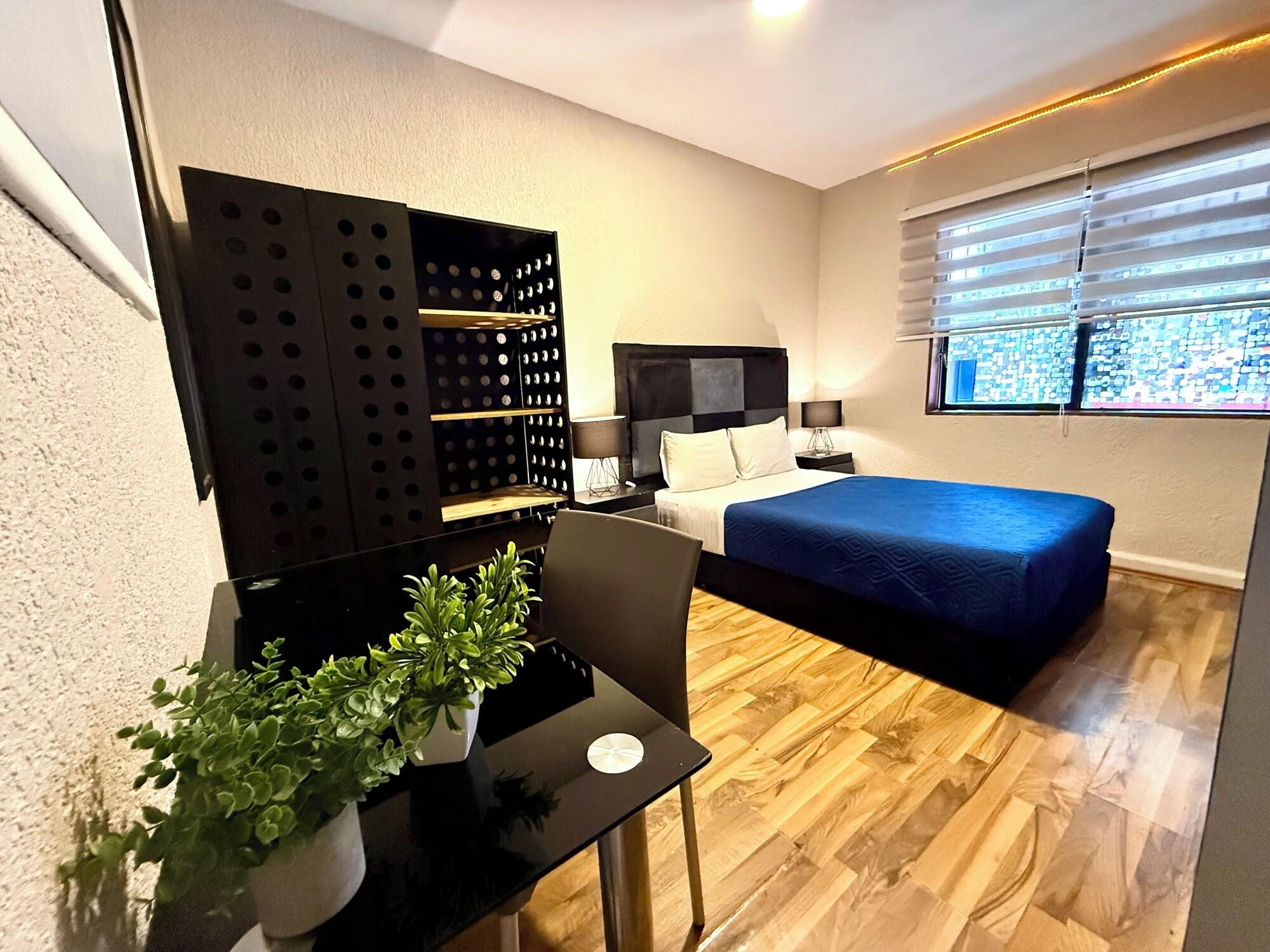 Varios WONDER Condesa