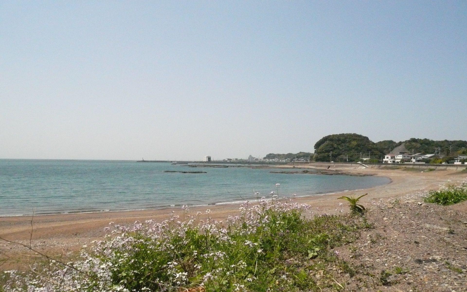 Playa Pension Sirogisu