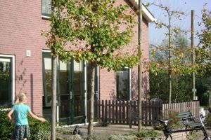 Alojamiento - Boerderij Hazenveld