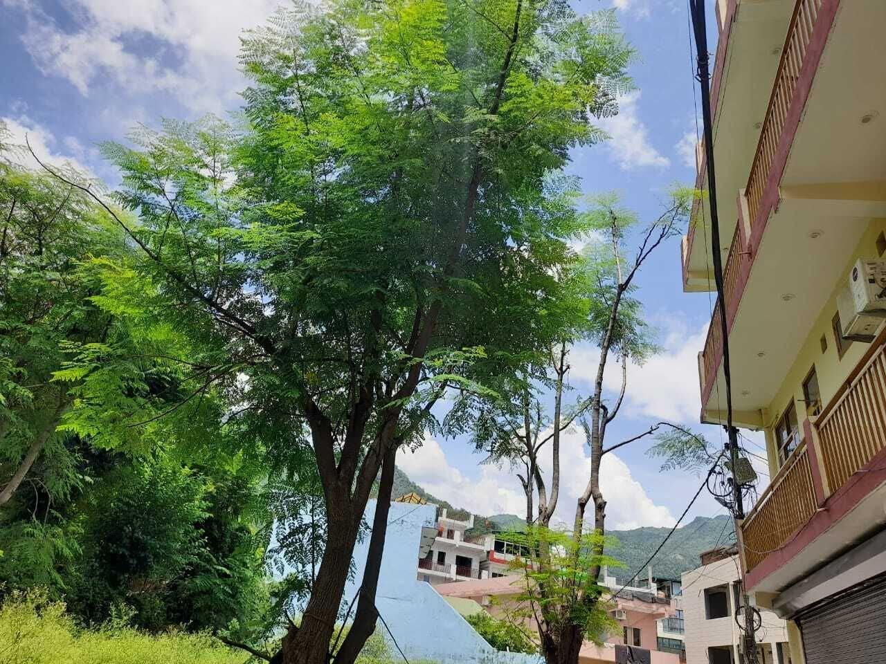 Vista Exterior Hotel Krishna Rishikesh