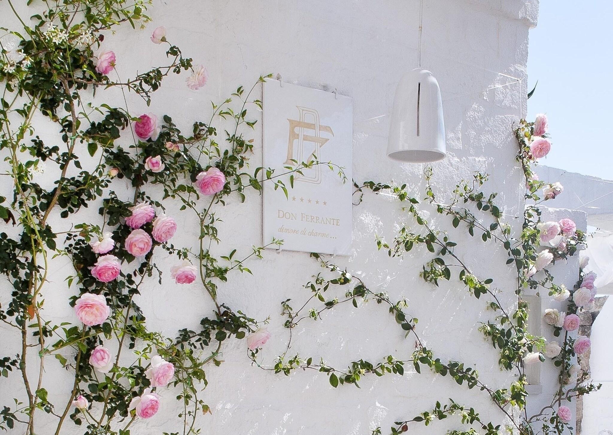 Vista Lobby Don Ferrante - Dimore di Charme