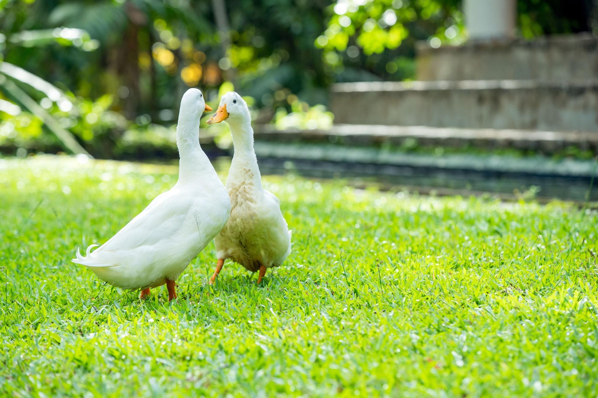 Vista Exterior Apa Villa Illuketia