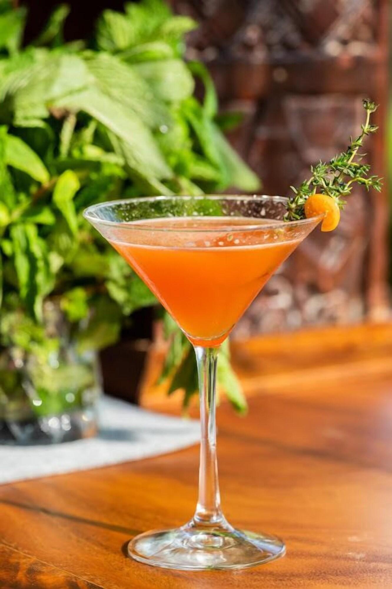 Vista Lobby Oxygen Jungle Villas & Spa