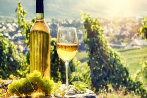 Actividad - Romanian Wine Tasting