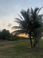 Alquiler Vacacional - Entire Spacious Atlantic Ville Home.