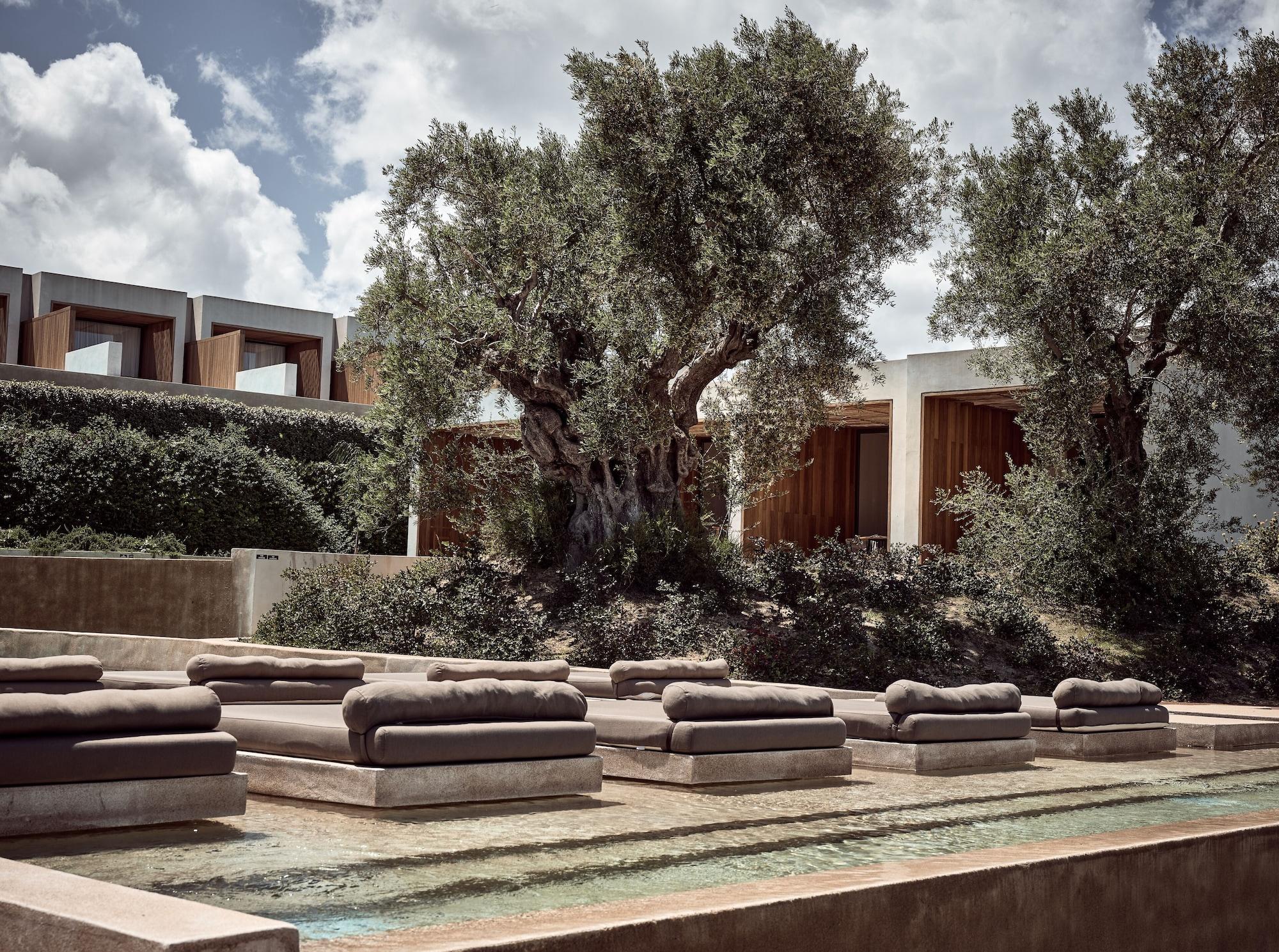 Vista Exterior Olea All Suite Hotel, a Member of Design Hotels