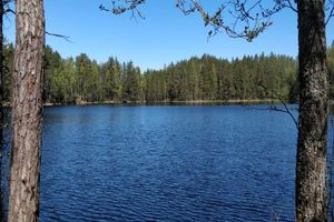 Actividad - Excursión privada de día completo Go North