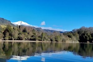 Alquiler Vacacional - "CABAÑA LOS COIGUES 2308 "NELTUME huilo huilo Chile