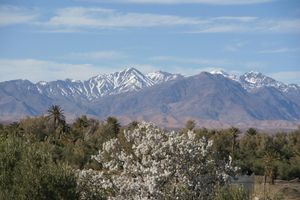 Alojamiento - Kasbah Ait Ben Damiette