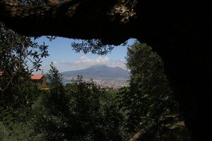 Alojamiento - Villa Catiè