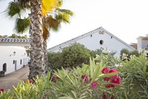 Alojamiento - Hotel & Restaurant Cortijo del Arte