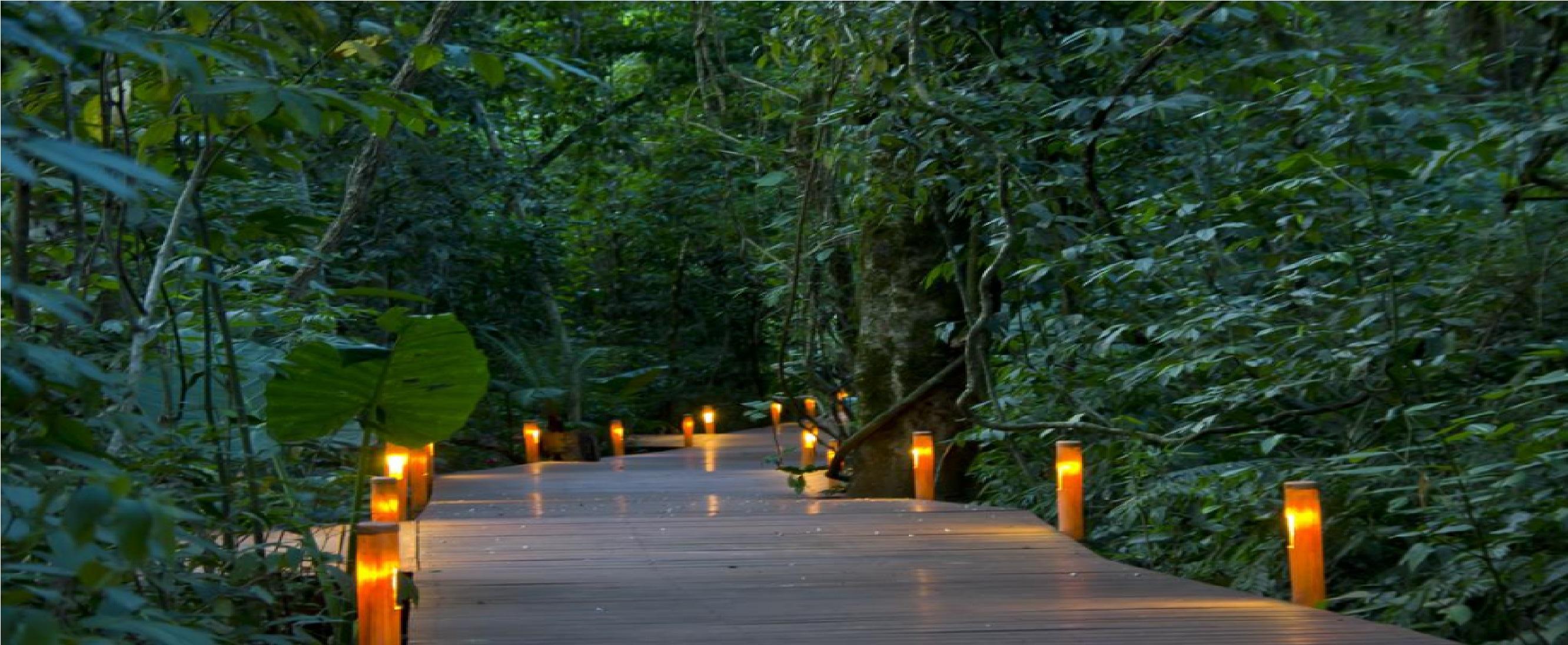 Vista Lobby Tierra Guarani