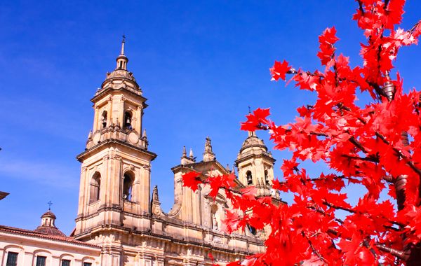 Hotel Windsor House Inn By GEH Suite