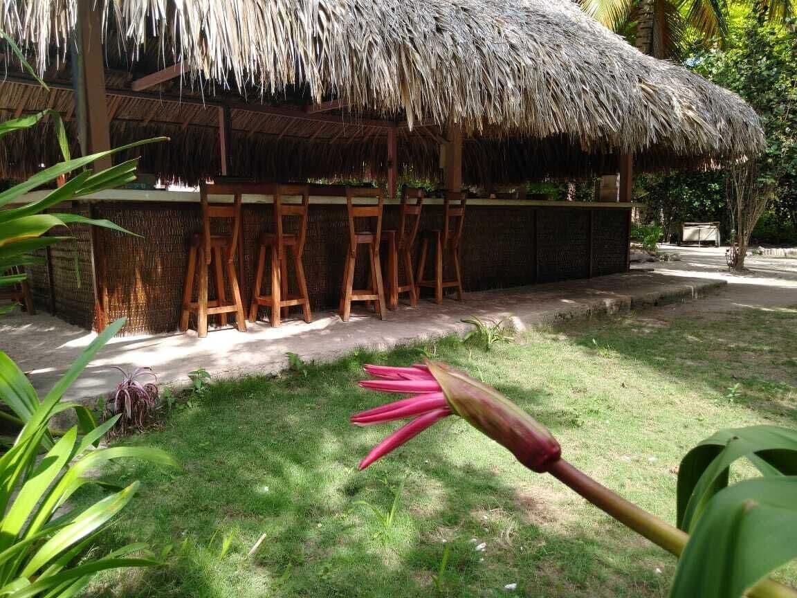 Restaurant Las Palmeras