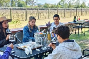 Actividad - Tour de la cerveza y el vino por Tequisquiapan