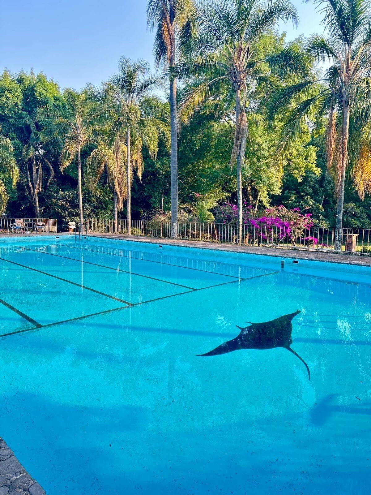 Vista Piscina CASA DEL POZO
