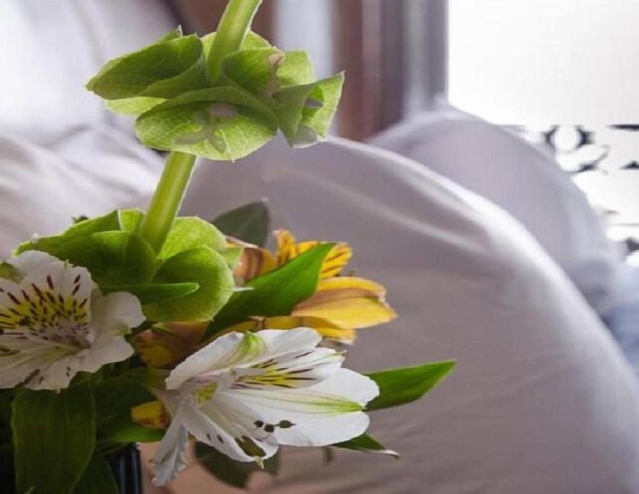 Vista Lobby Casa Aspeytia Hotel Boutique