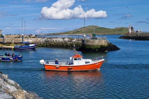 Actividad - Paseo en barco por Howth y la isla Ireland’s Eye