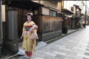 Actividad - Recorrido a pie por Gion, Kioto: Geishas y patrimonio oculto.