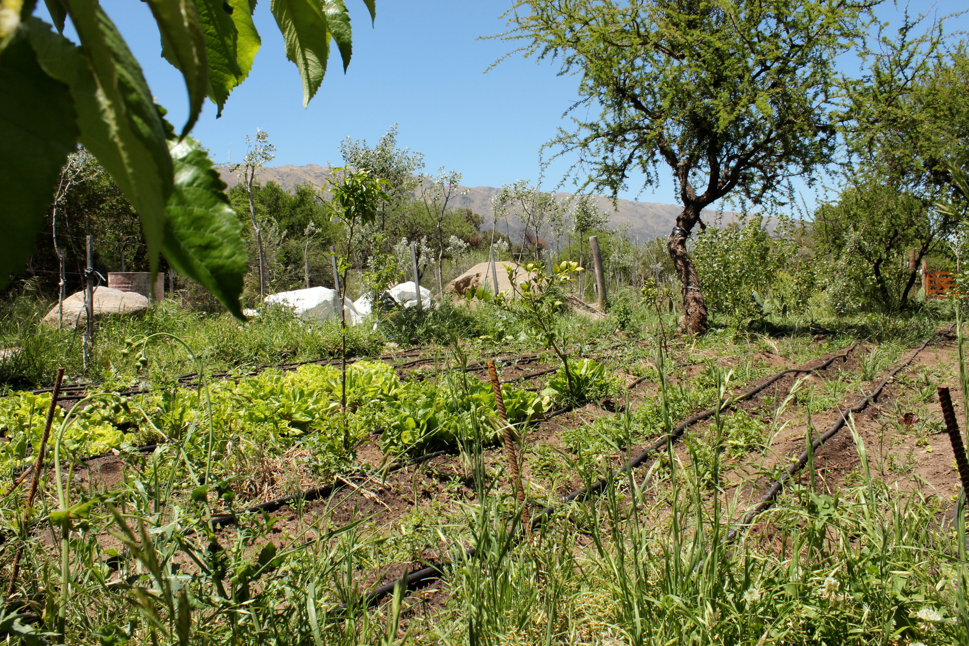 Vista Exterior Hostería El Cambio