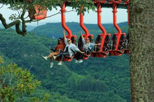 Actividad - Tour de Skyglass con Canela Natural