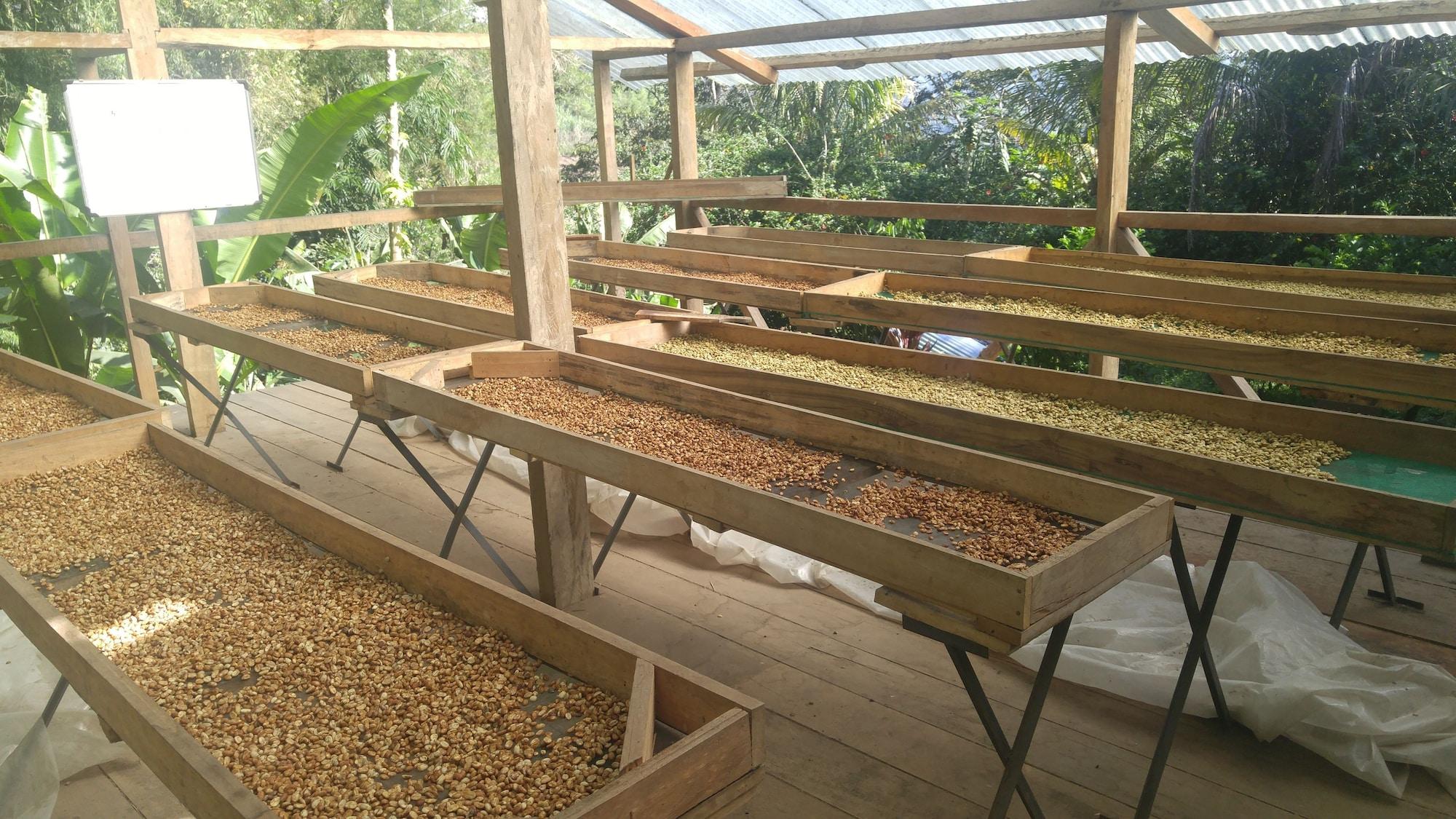 Comodidades del Alojamiento Finca De Buen Consejo - Hostel