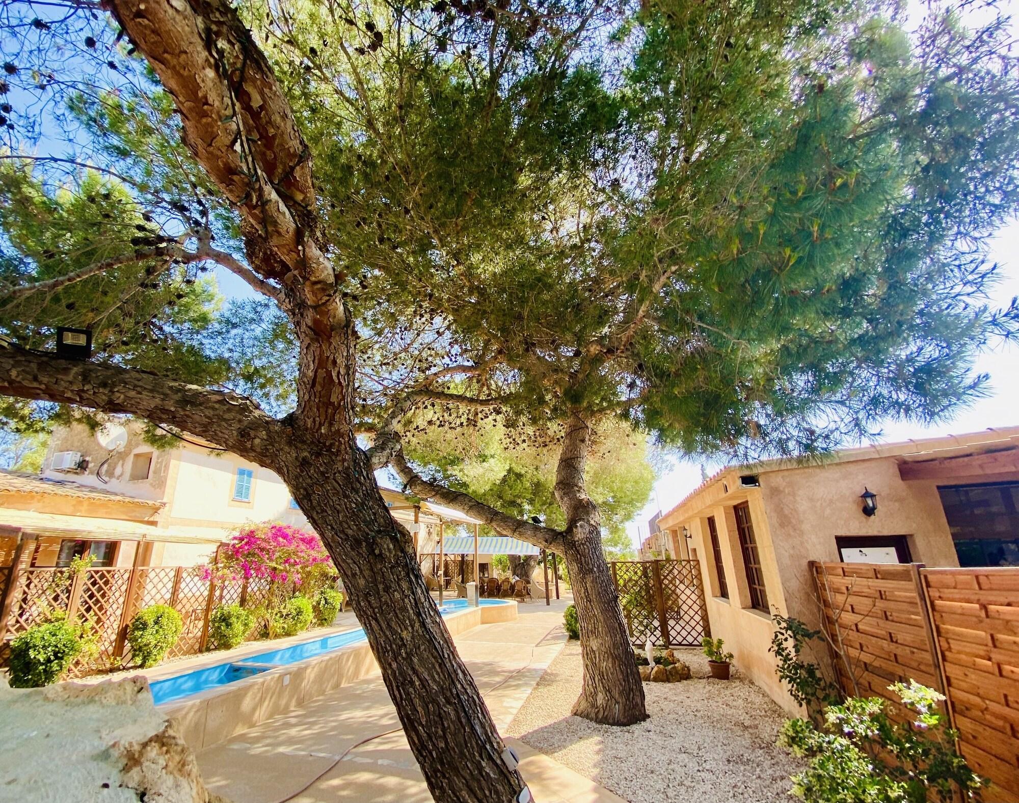 Habitación Finca Sa Canova Agroturismo