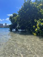 Alquiler Vacacional - Condado Oceanview Lagoon,/Electrical Backup System/1 minute Beach/Lagoon/