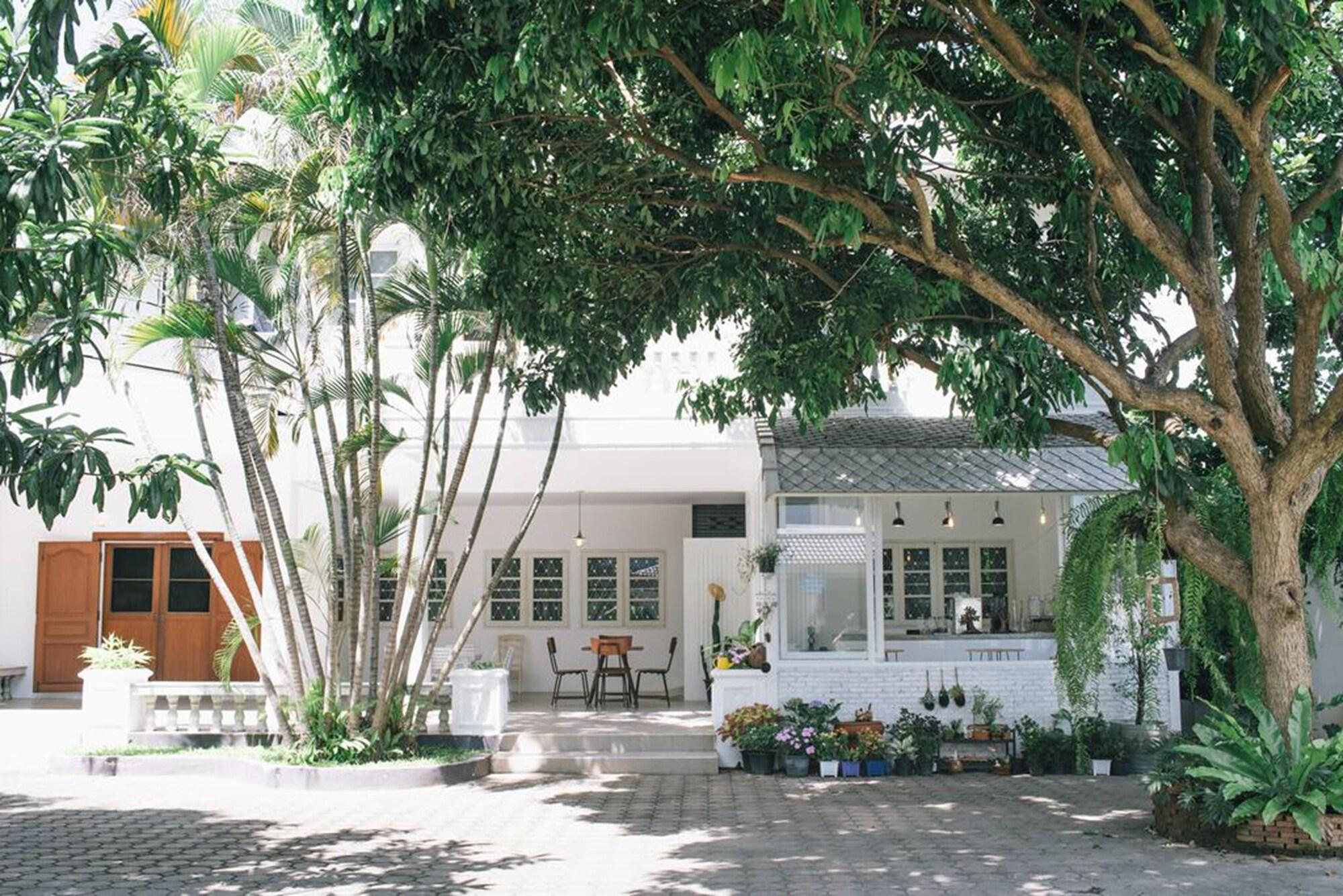 Varios Double Tree House