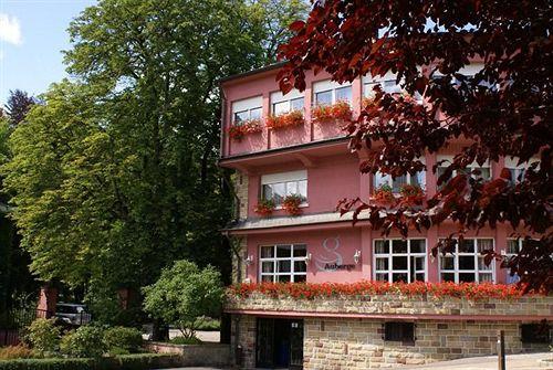 Vista Exterior Auberge de la Gaichel