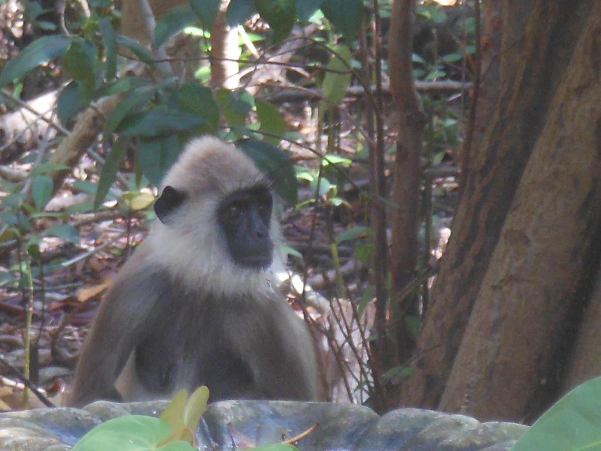 Vista Exterior The Waves Beach Chalets