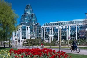 Actividad - National Gallery of Canada: Entry Ticket