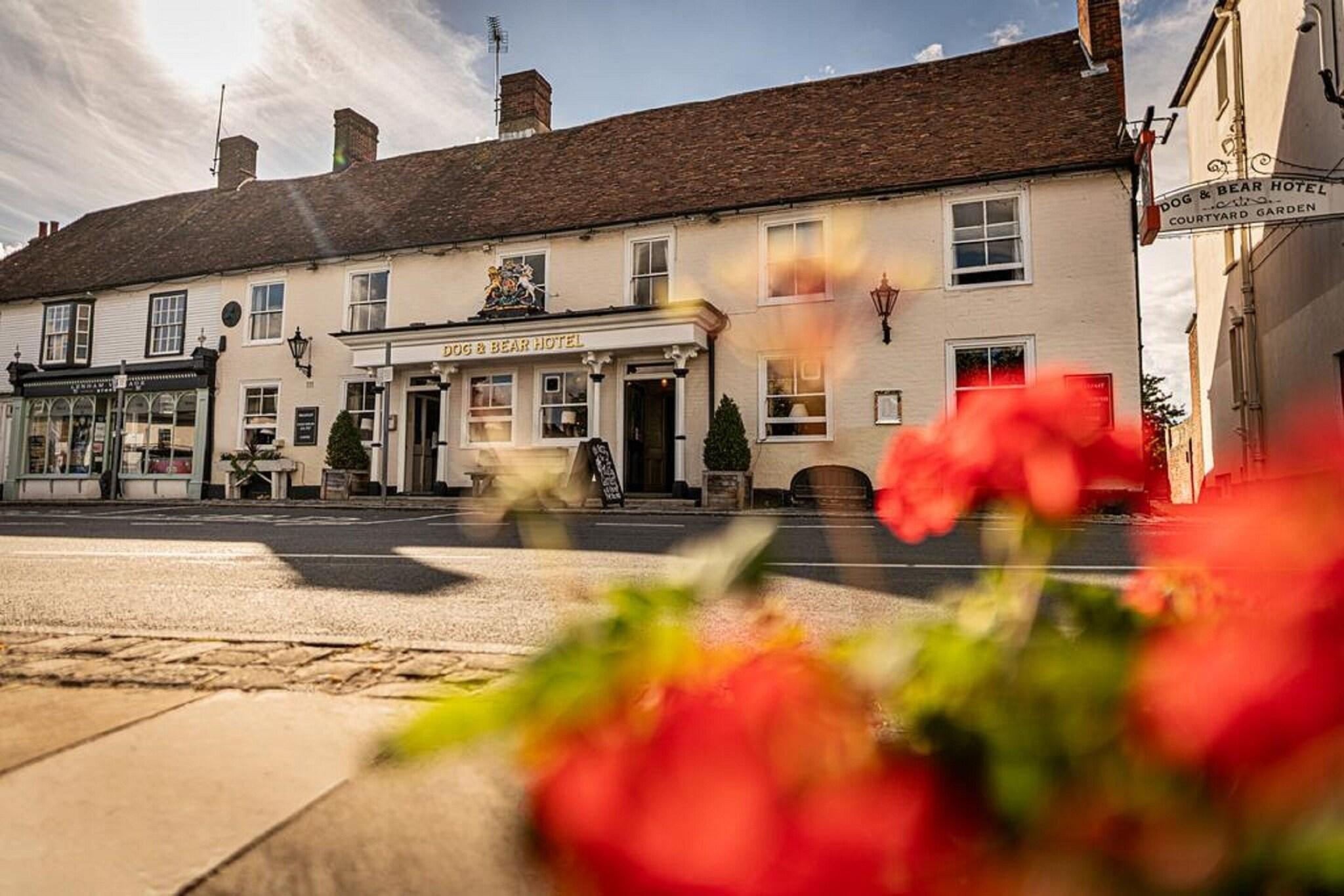 Vista Exterior Dog & Bear Hotel