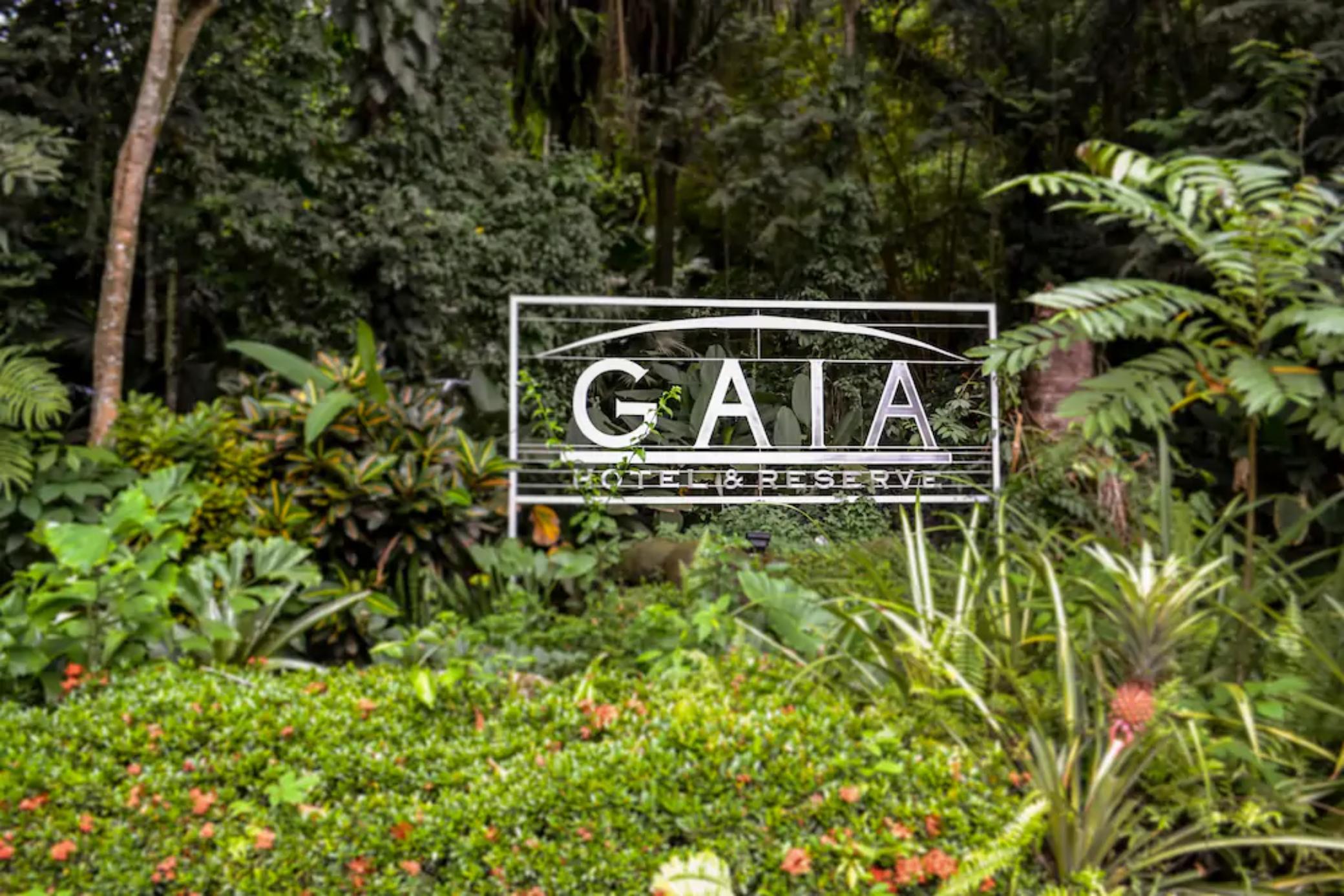Vista Lobby Gaia Hotel And Reserve - Adults Only