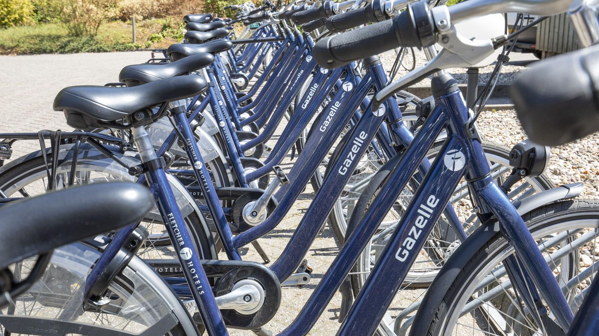 Instalaciones Recreativas Fletcher Hotel - Restaurant Waalwijk