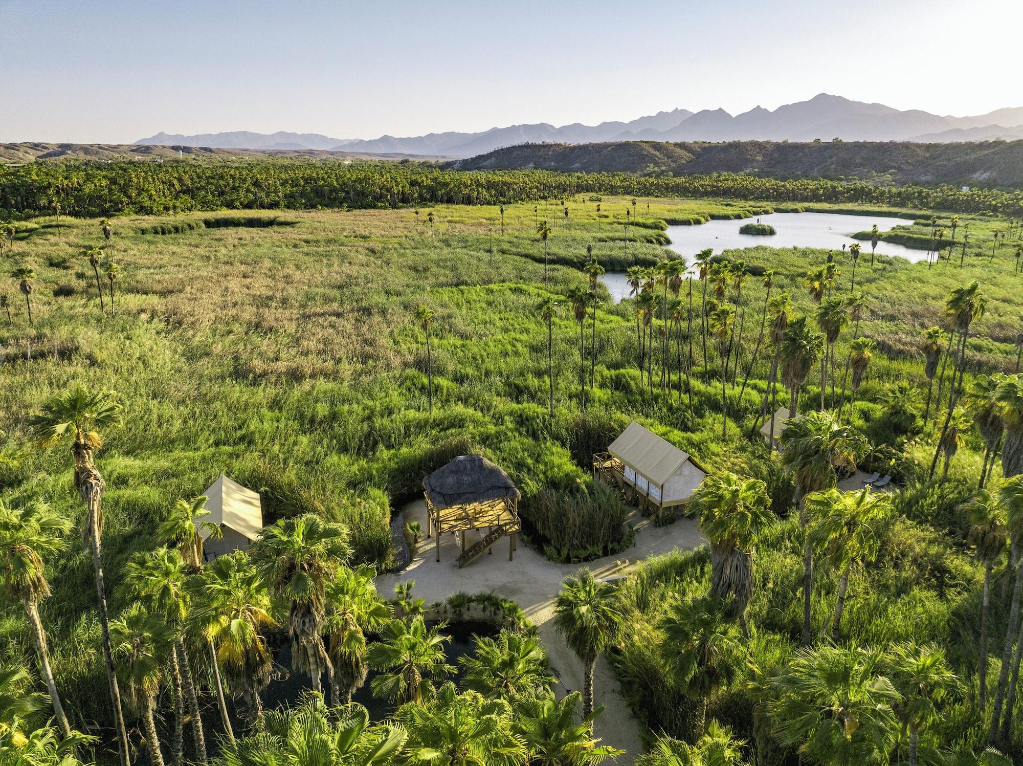Varios NEST Los Cabos