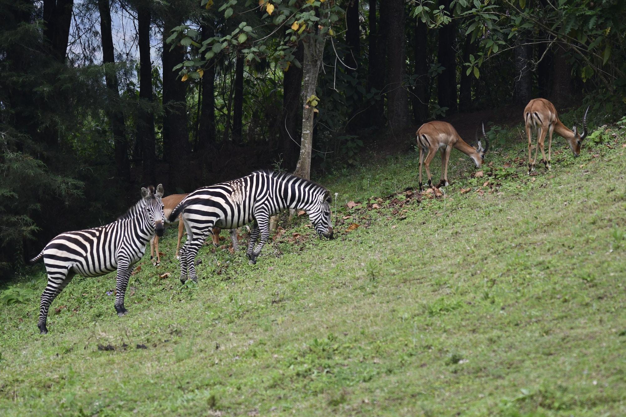 Instalaciones Recreativas Lake Bunyonyi Eco Resort