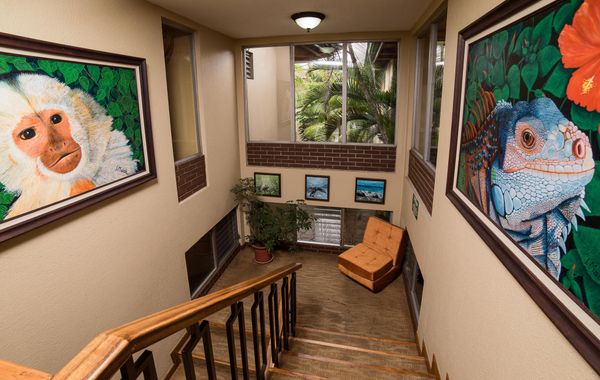 Hotel Villa Tournon