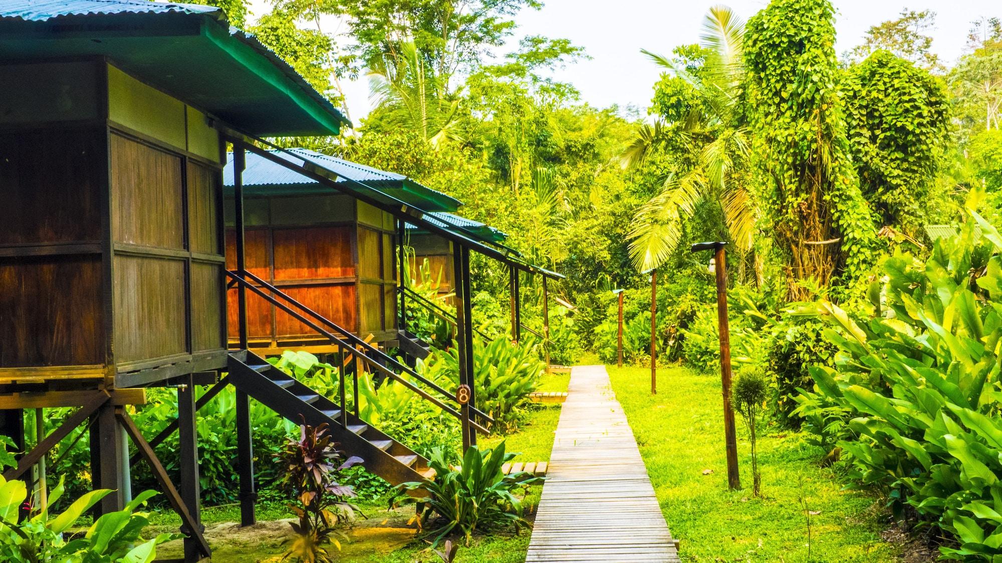 Varios Amazon Planet