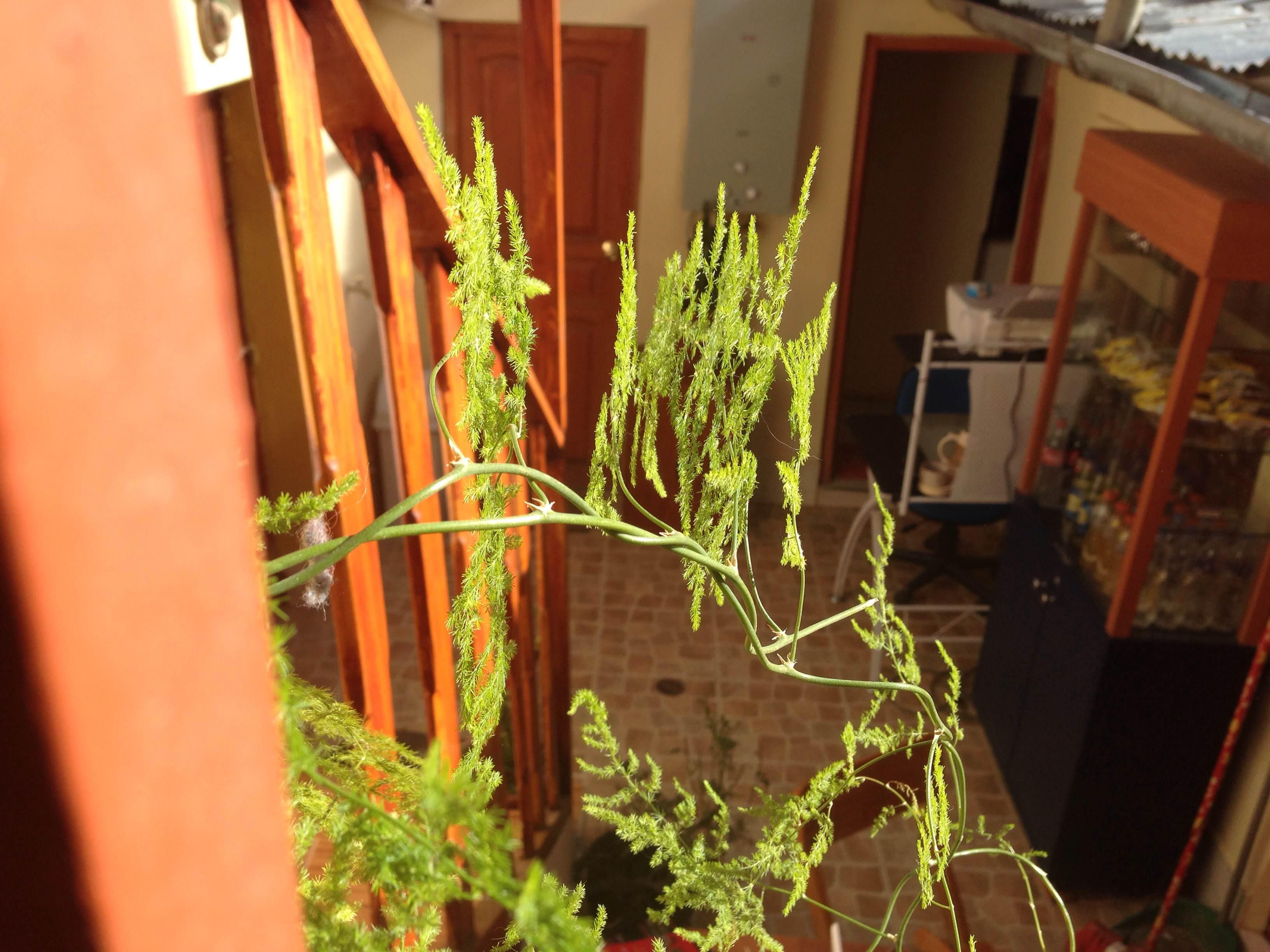 Instalaciones Recreativas Taki Hostel