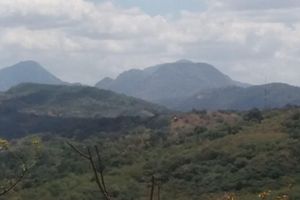 Arriendo temporal - Nalanda Relaxation And Caping Site