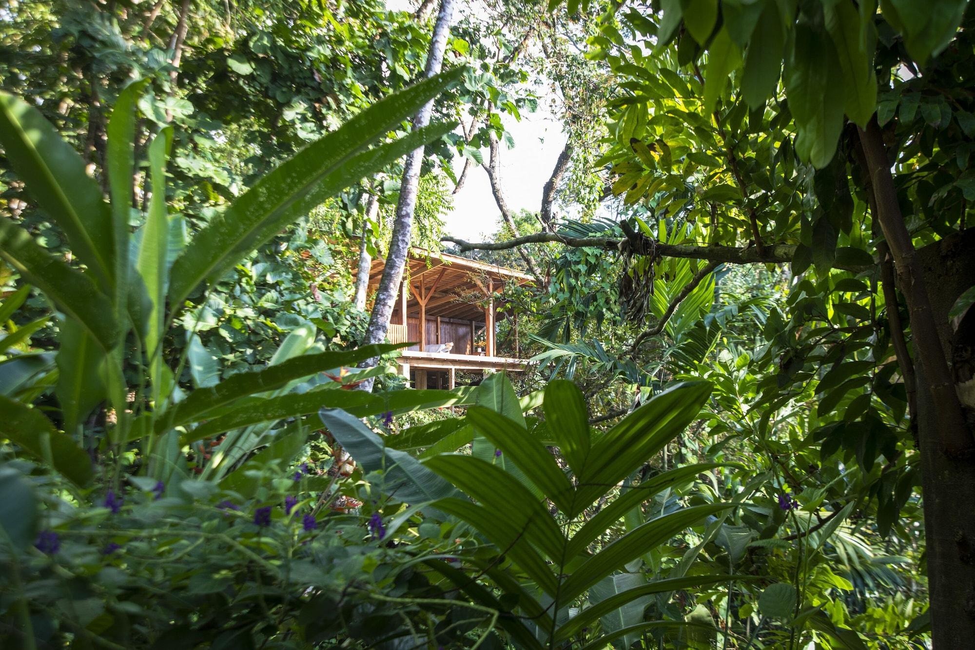 Gimnasio Tiskita Jungle Lodge