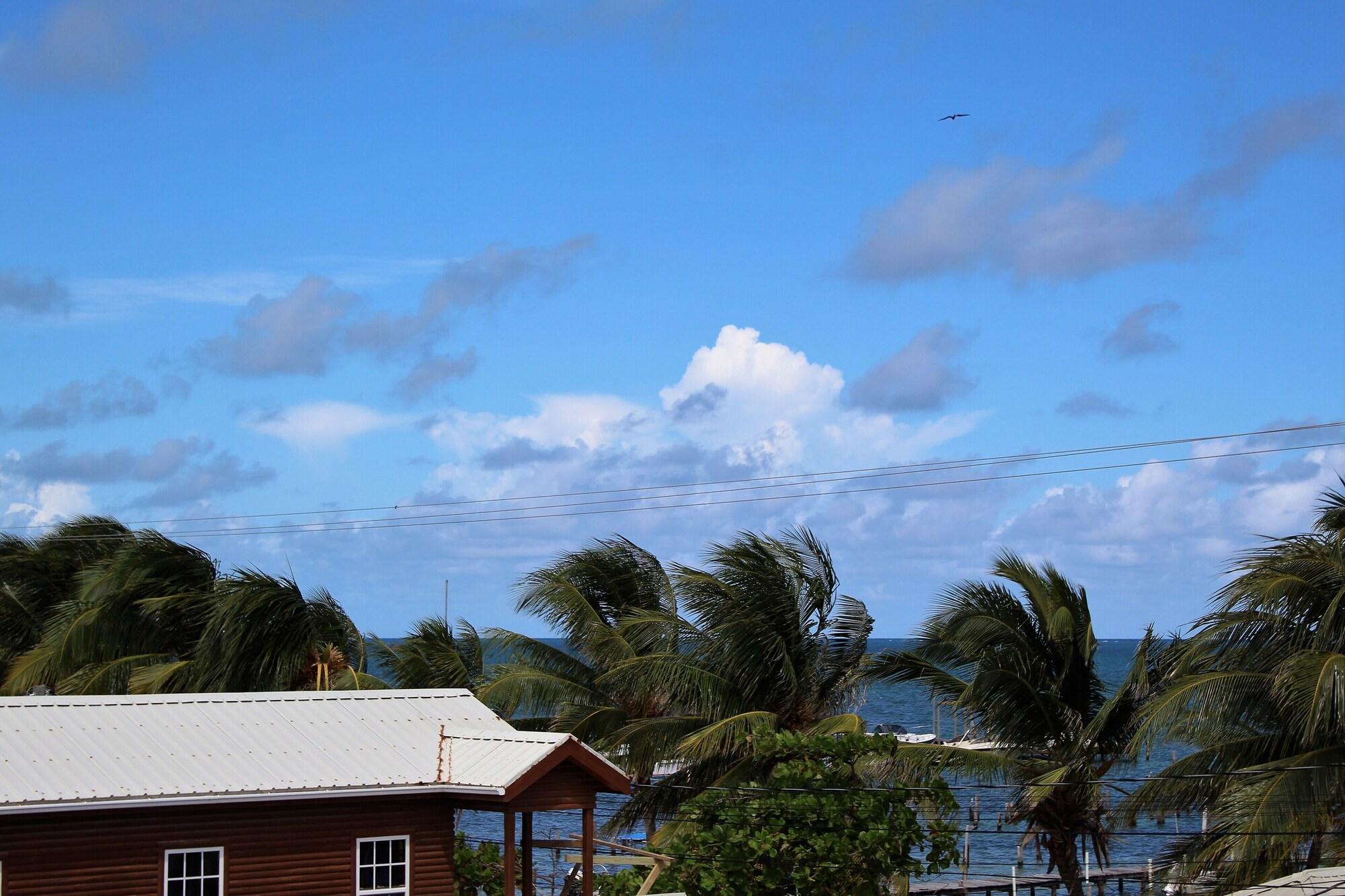 Playa Barefoot Caye Caulker Hotel